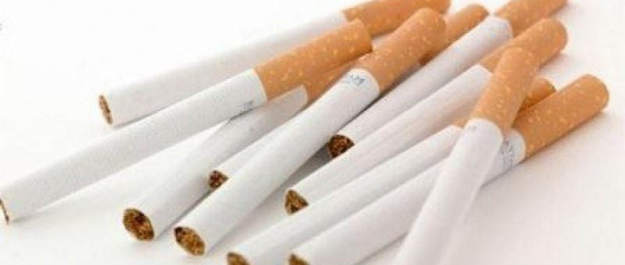 Azərbaycandan tütün ixracı 5% artıb 