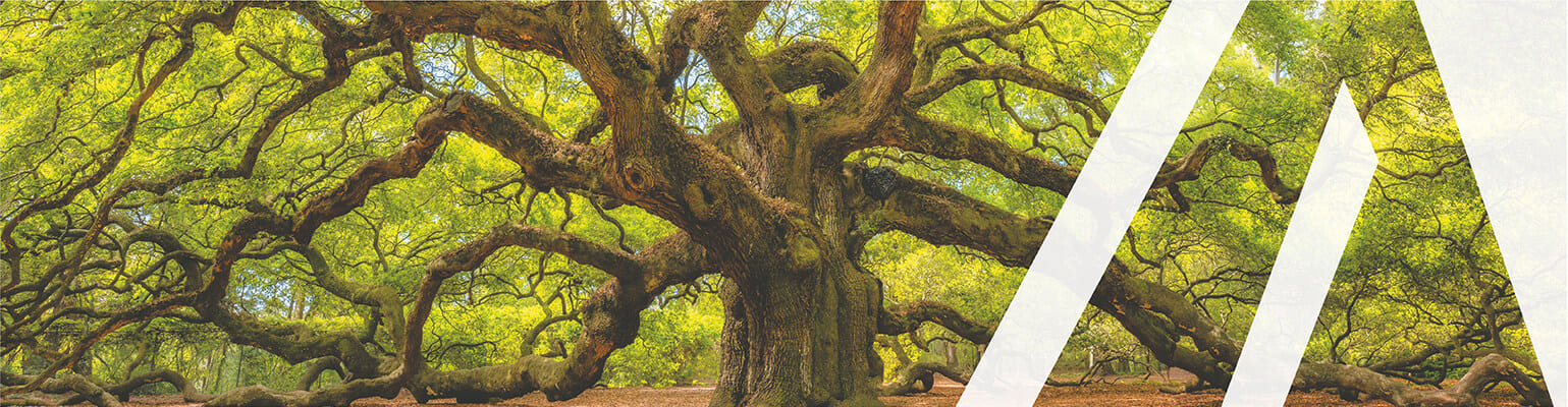 AsstrA is Your global trade lane solution provider